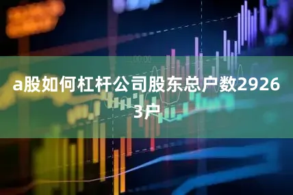 a股如何杠杆公司股东总户数29263户