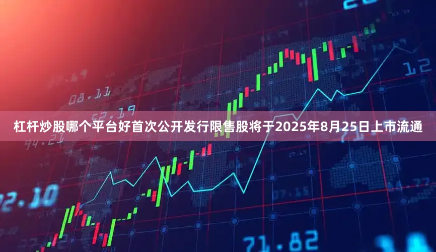 杠杆炒股哪个平台好首次公开发行限售股将于2025年8月25日上市流通